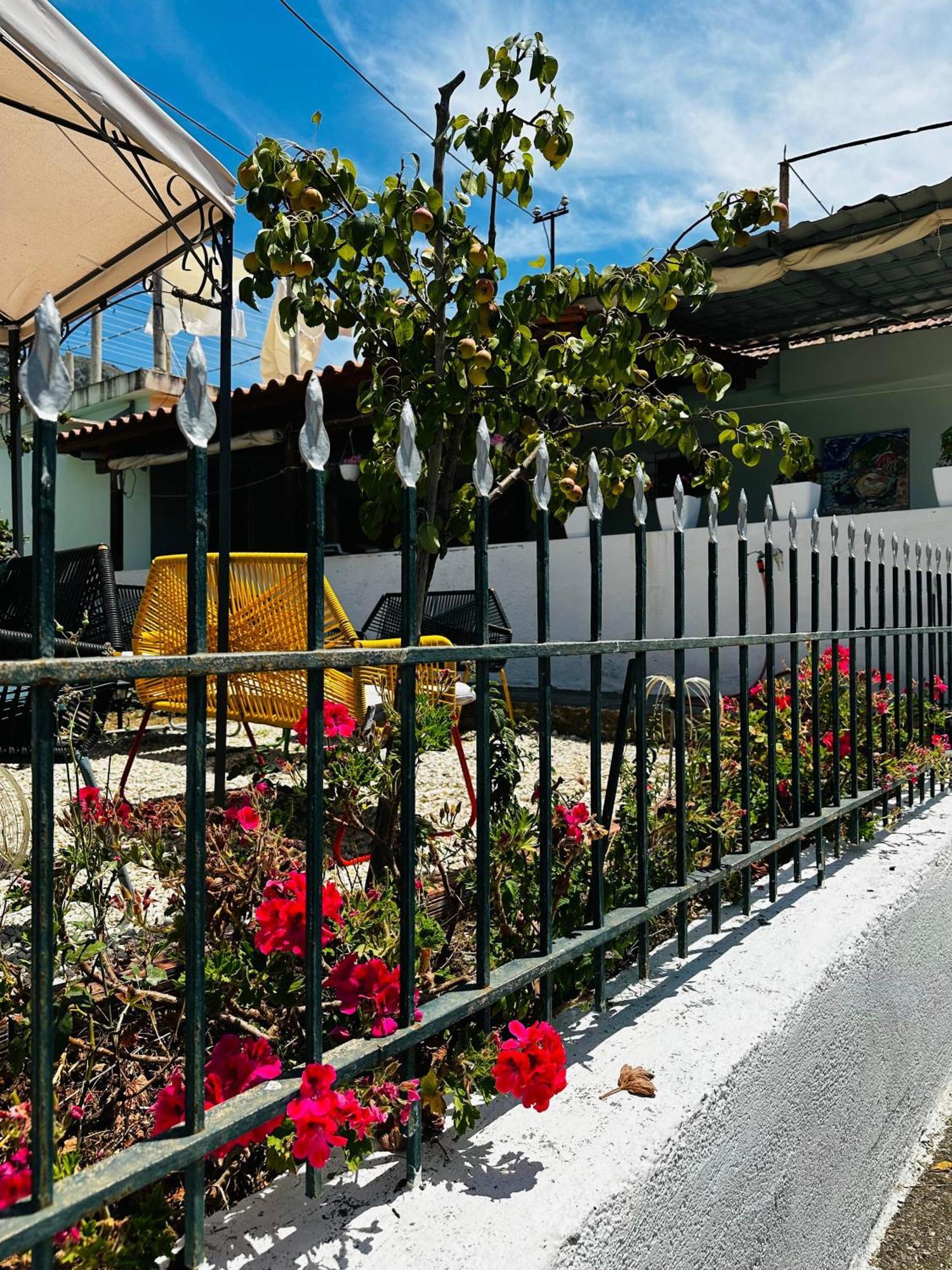 Natural Hostel Himare Exterior photo