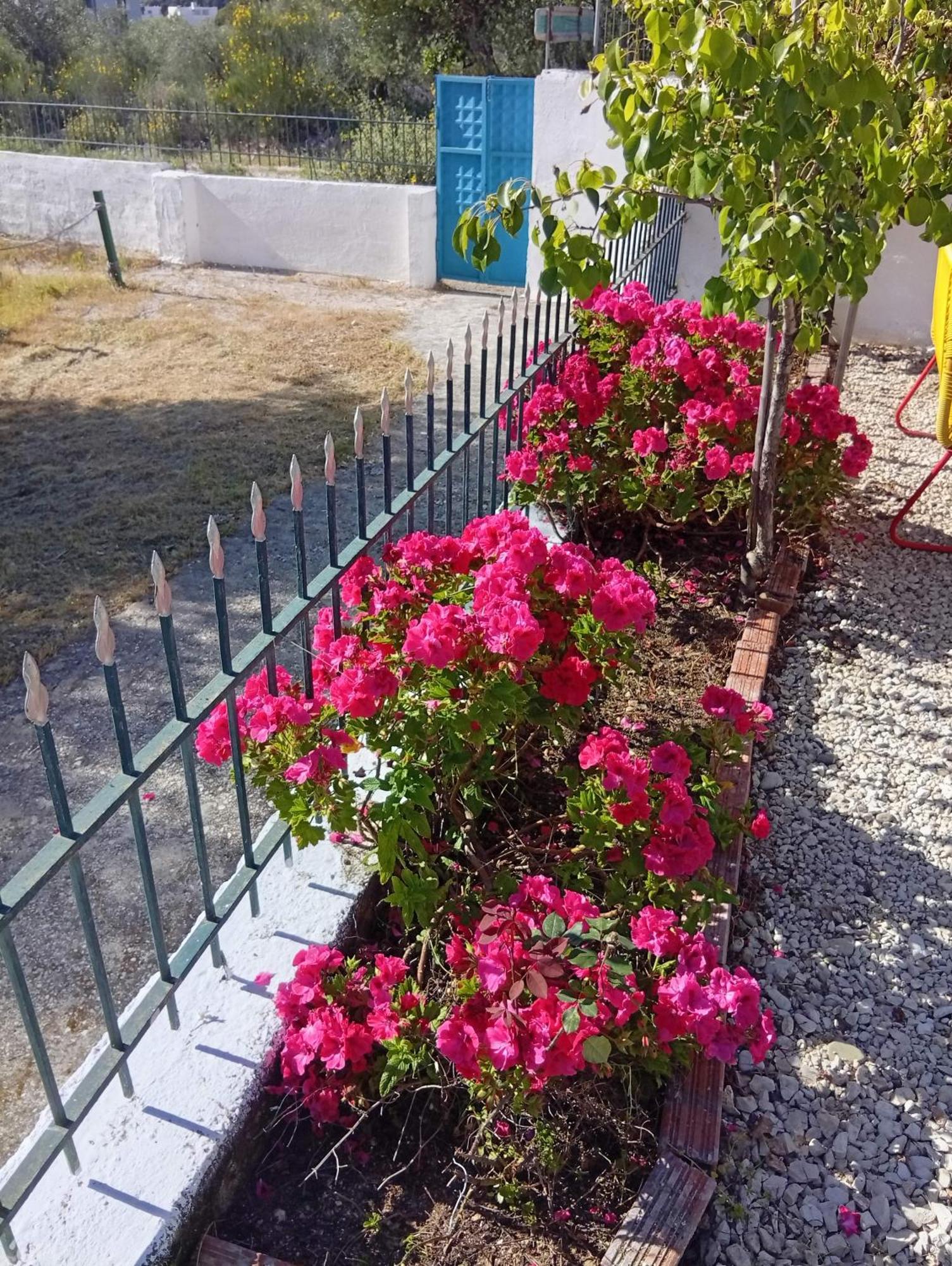 Natural Hostel Himare Exterior photo